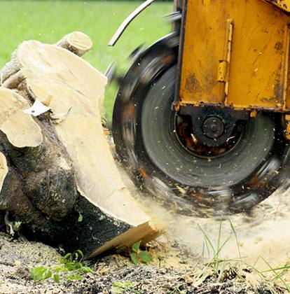 stump grinder