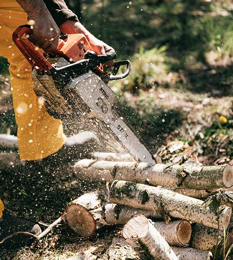 chainsaw cutting branch