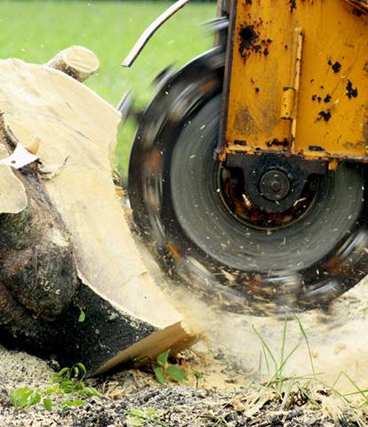 stump grinder