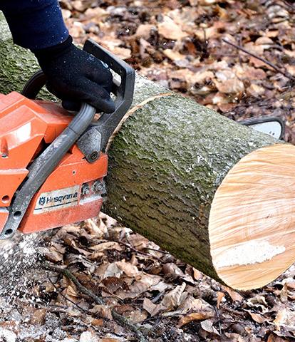 cutting log